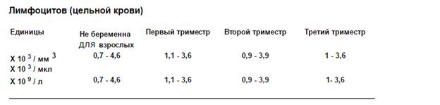 Норма лейкоцитов 3 триместр