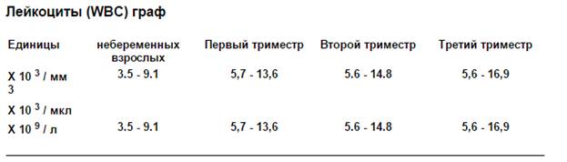 Анализ крови белые тельца в крови