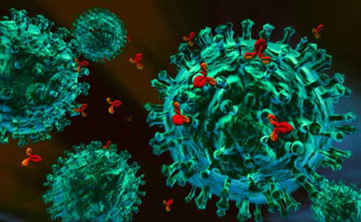 анализ антител к тромбоцитам