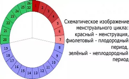  безопасные дни при месячных