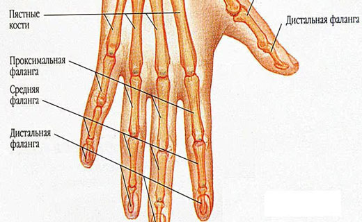 Гигрома: лечение народными средствами в домашних условиях