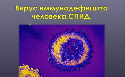 вирус иммунодефицита 