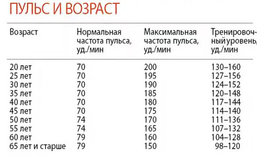 Пульс в 3 триместре