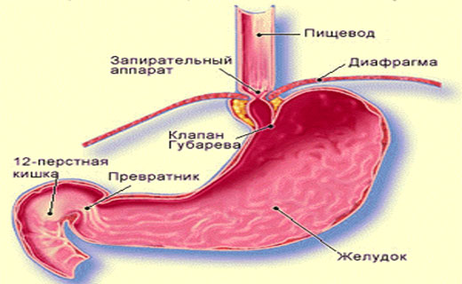 Щелочной рефлюкс