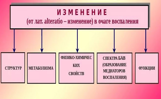 Воспаления печеночной ткани 