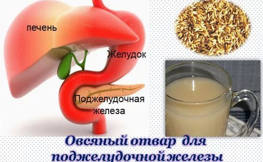 почки