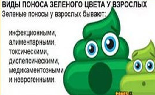 виды поноса