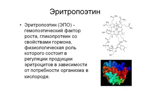 Эритропоэтин норма (таблица). Эритропоэтин повышен или понижен - что .