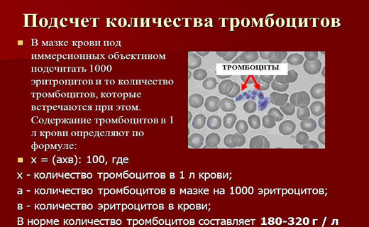 большое количество тромбоцитов