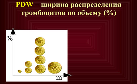 Норма объем тромбоцитов