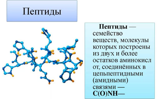 родственный пептид