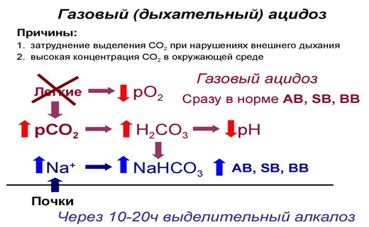Механизм ацидоза