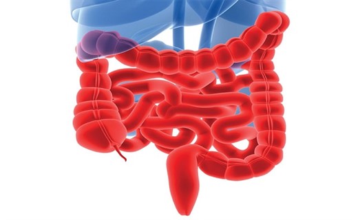 Энтероколит у детей - симптомы и лечение