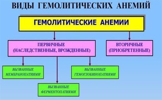 Причины гемолитической анемии