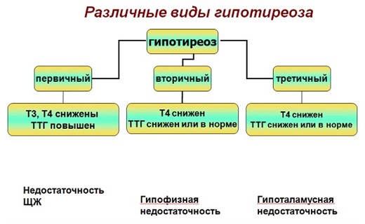 Гипотиреоз у грудных детей