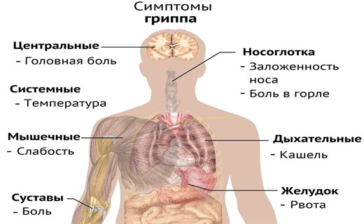 Первые симптомы гриппа