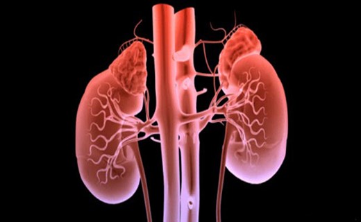 Подострый гломерулонефрит - симптомы, диагностика, лечение