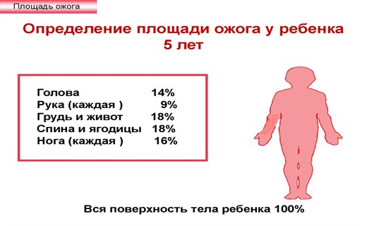 Ожог Верхнего Неба Фото