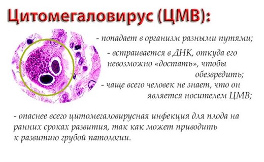 Цитомегаловирус Симптомы Фото