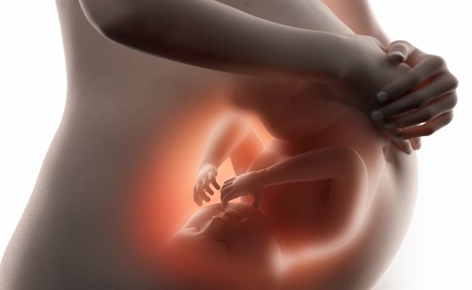Риск внутриутробной инфекции при беременности
